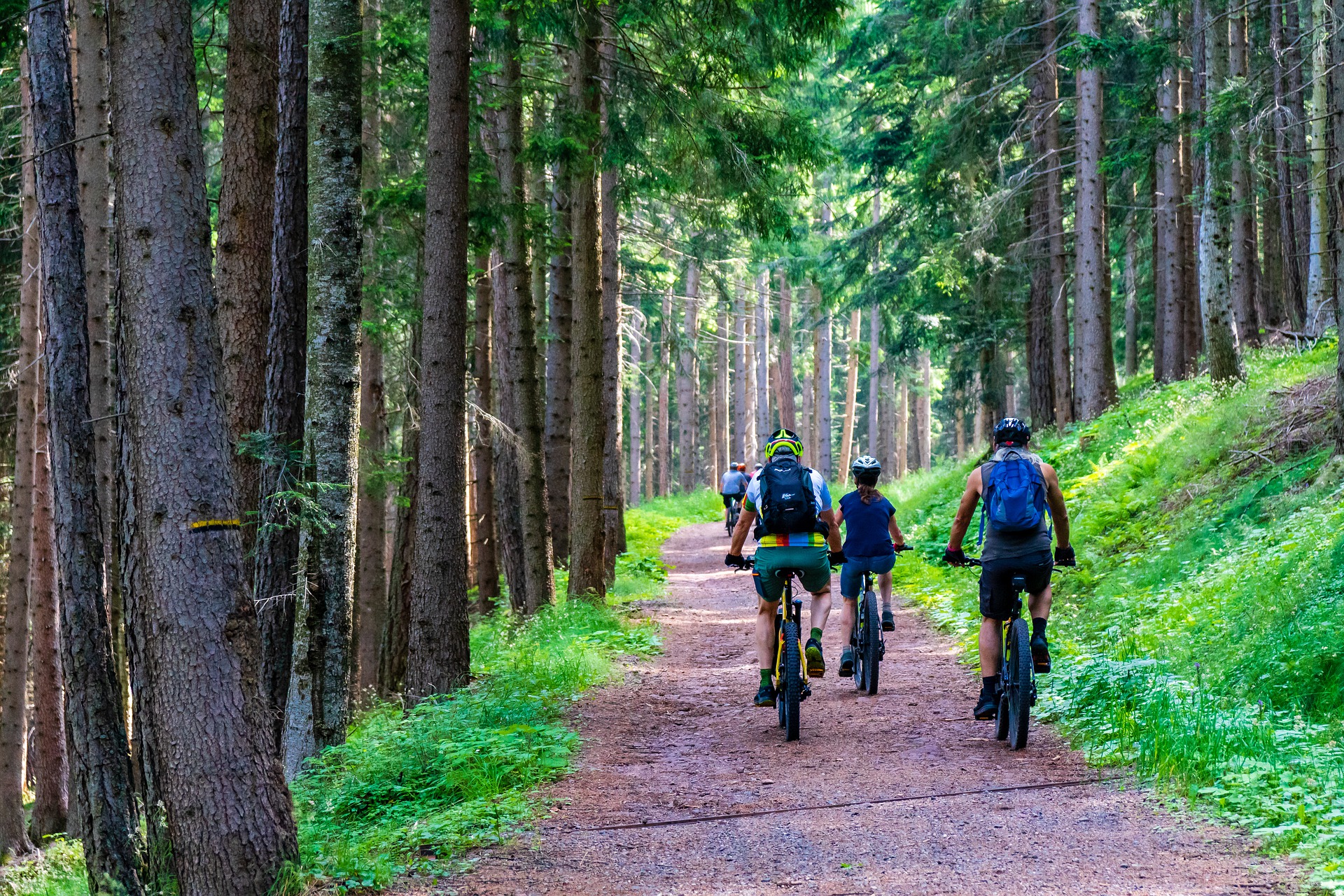 Mountainbiken fietsen